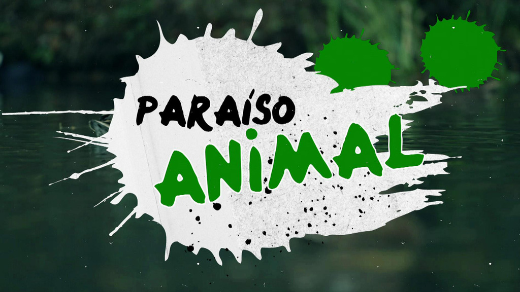 Paraíso animal