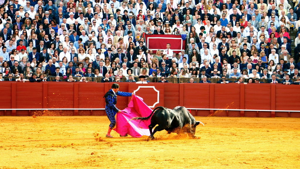 Extremadura: tierra de toros