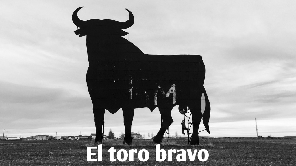 El toro bravo