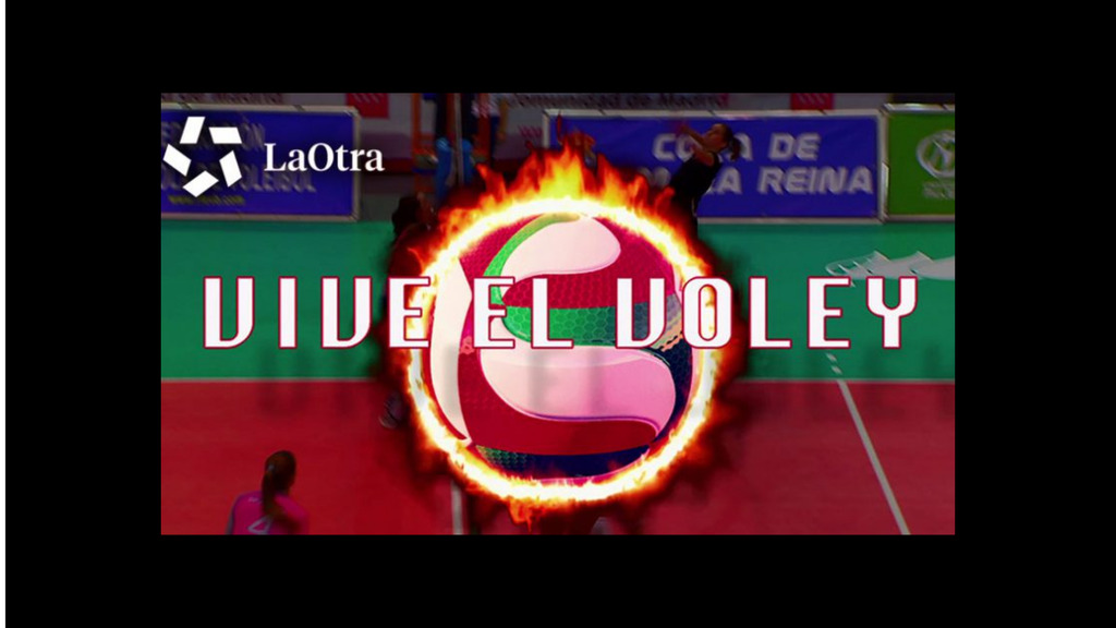 Vive el Voley
