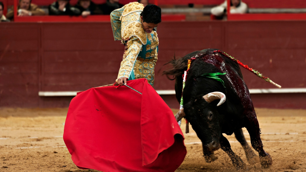 Toreros, historia y arte