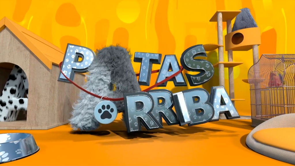 Patas arriba