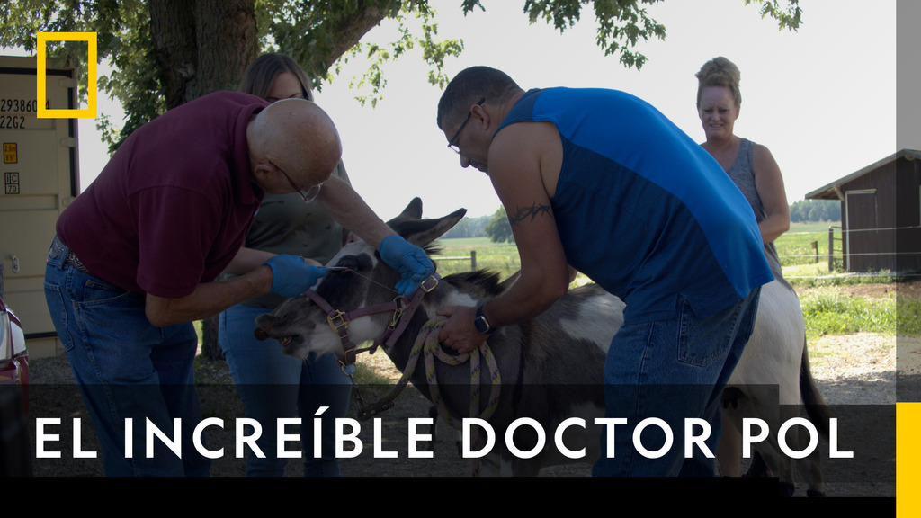 El increíble doctor Pol 22