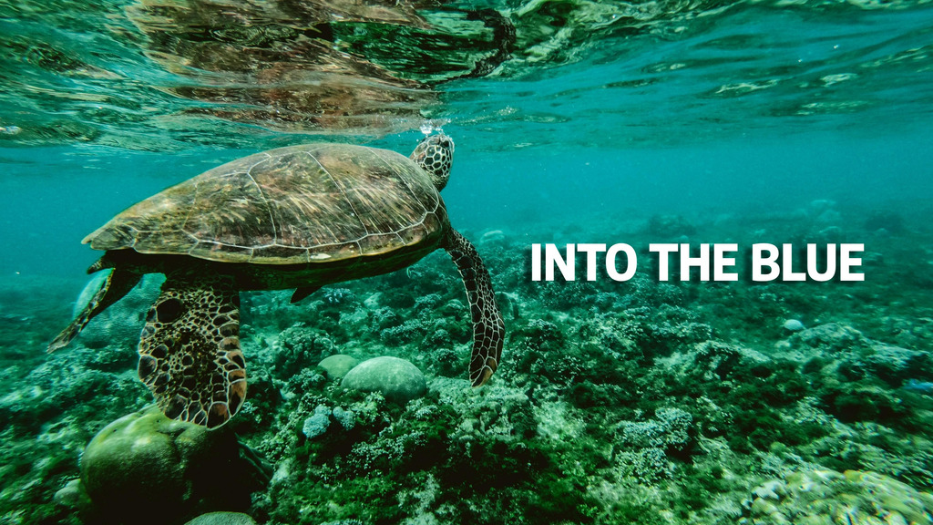 Into The Blue