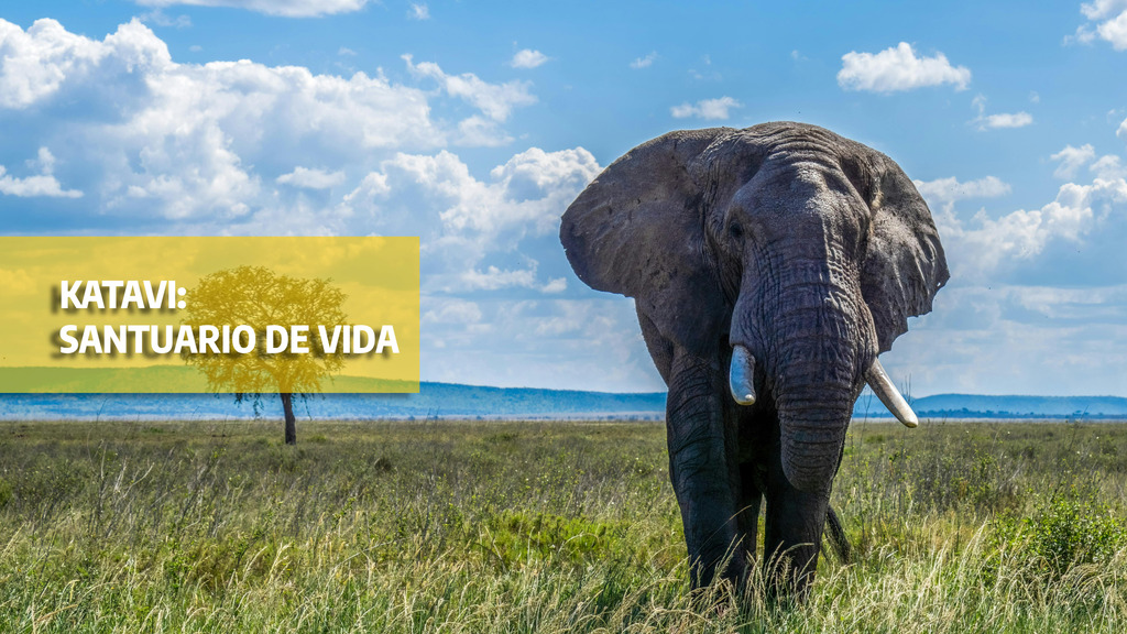 Katavi: Santuario de vida