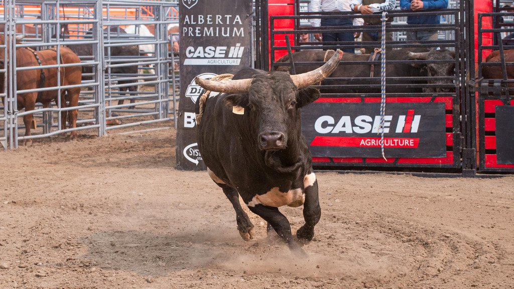 Pro Bull Riders