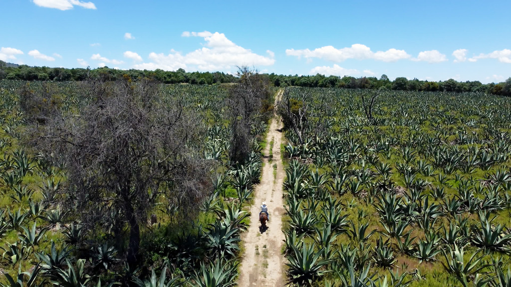 Destino México
