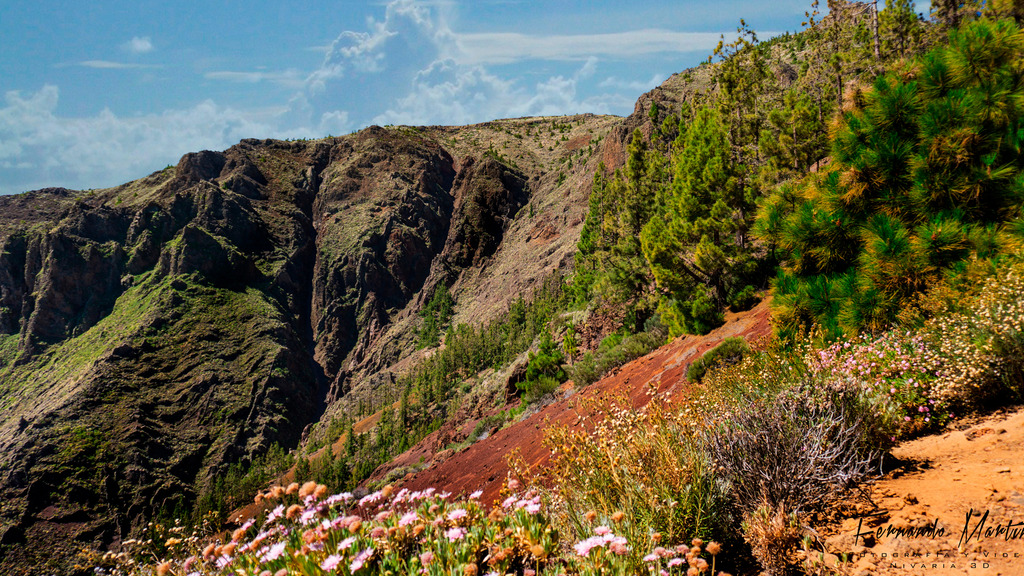 Canarias al natural