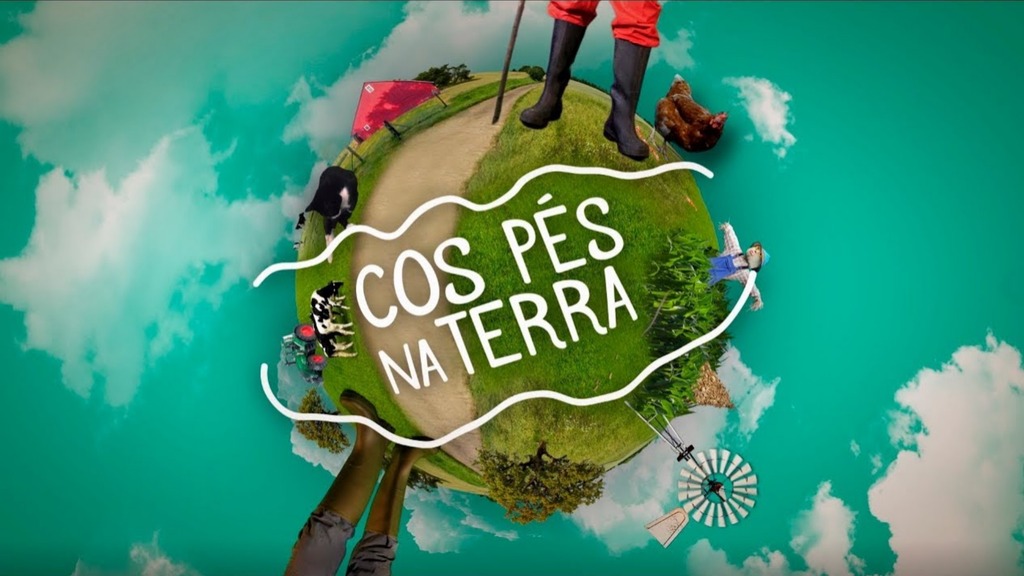 Cos pés na terra