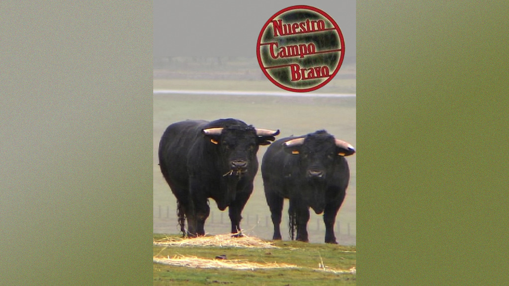 Nuestro campo bravo
