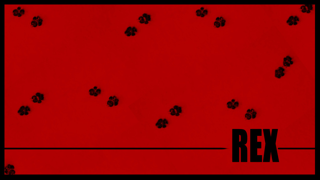 Rex, un policía diferente