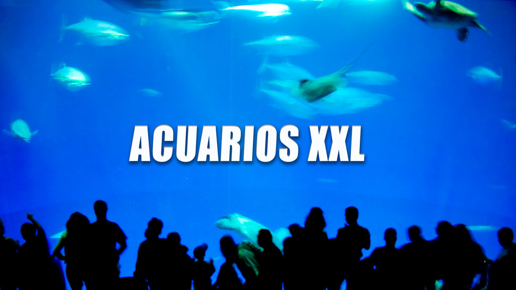 Acuarios XXL